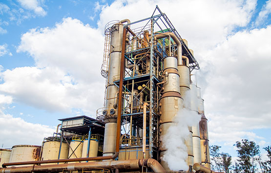 Sugar Refinery Products
